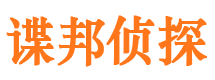 静海市调查公司